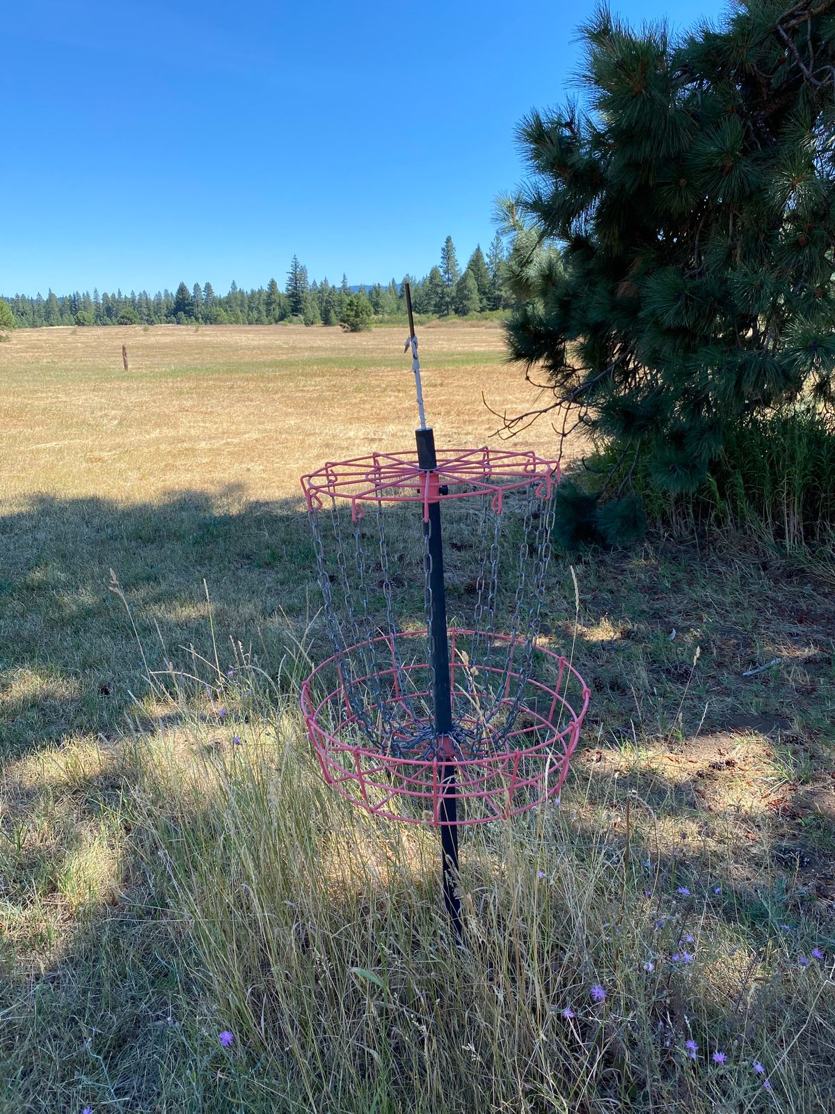 Basket 18 right next to Tee #1 for warmups