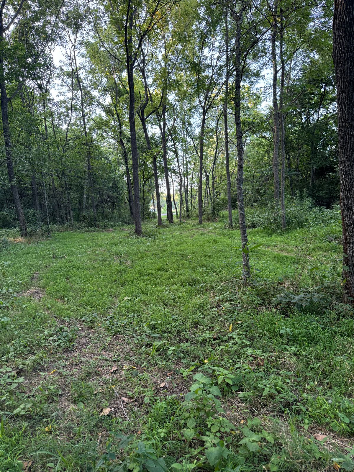 Hole 3 from the basket