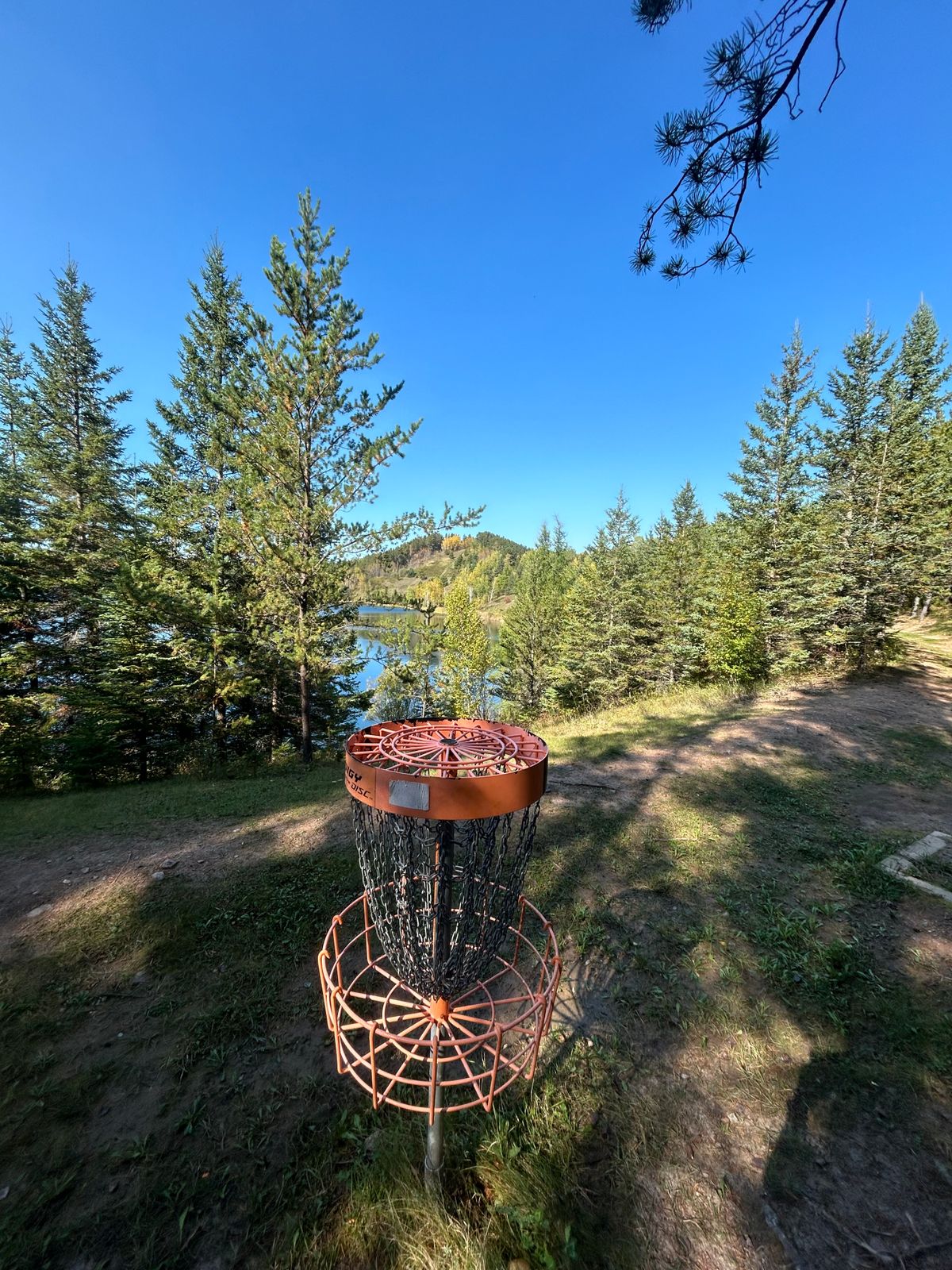 Hole 7 basket