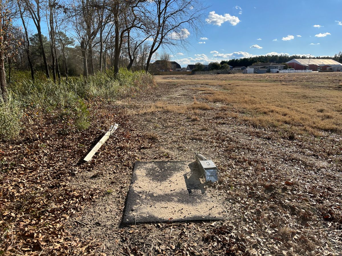 Hole 6 tee
