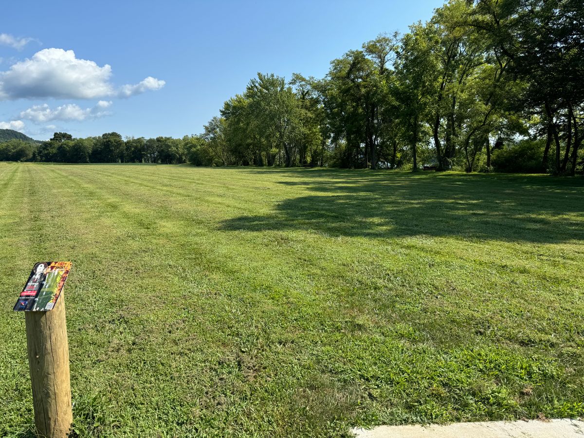 Hole 8 Tee
