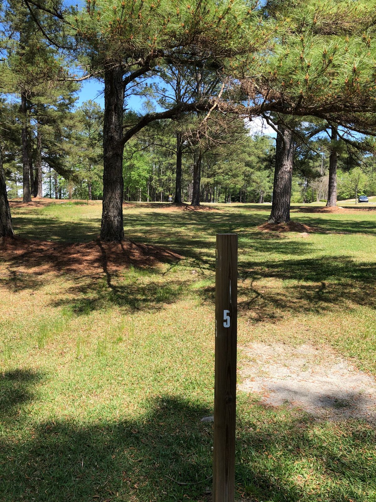 Hole #5