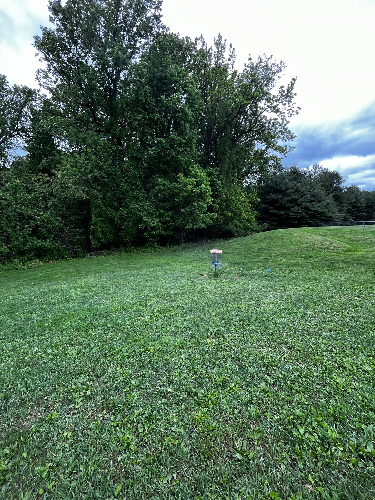Hole 14 yellow green