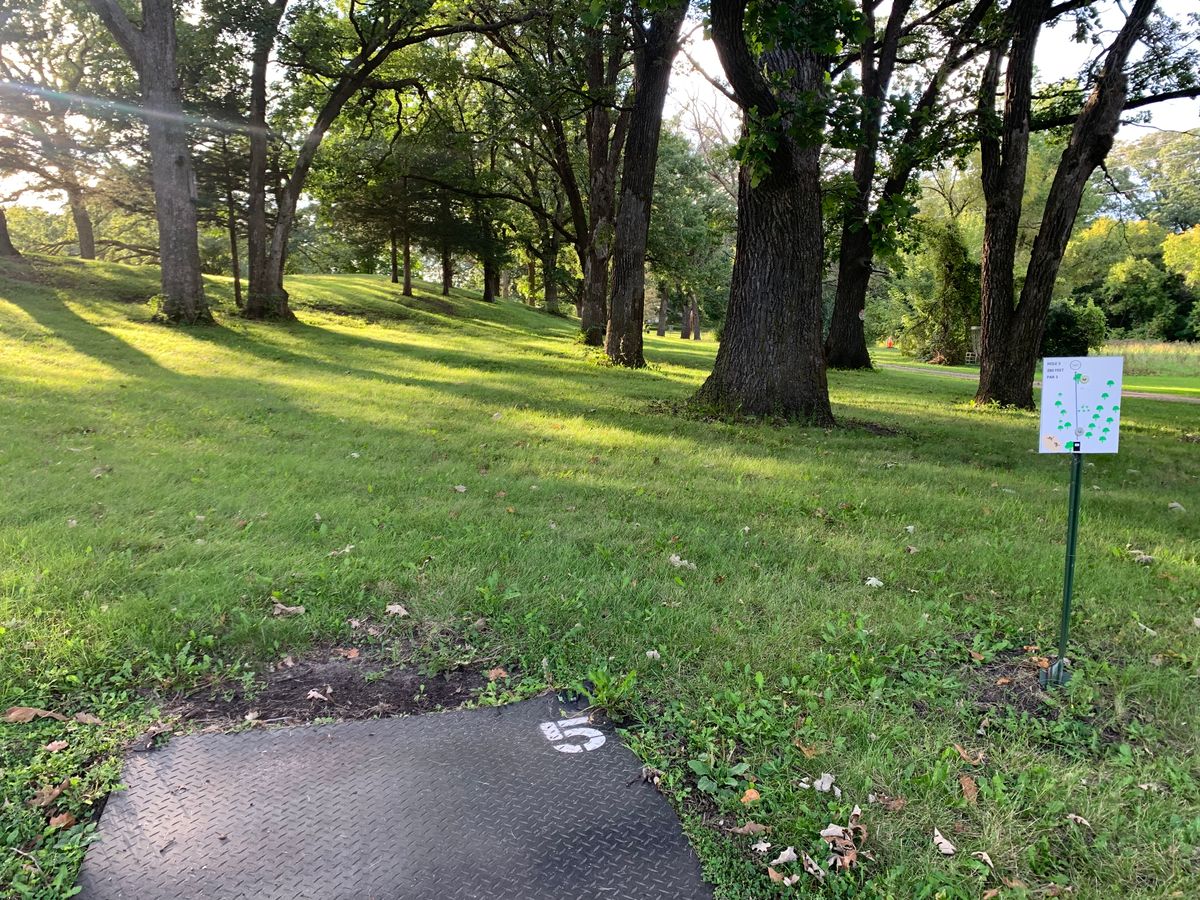 Hole 5 tee paid looking towards basket. August 2024.