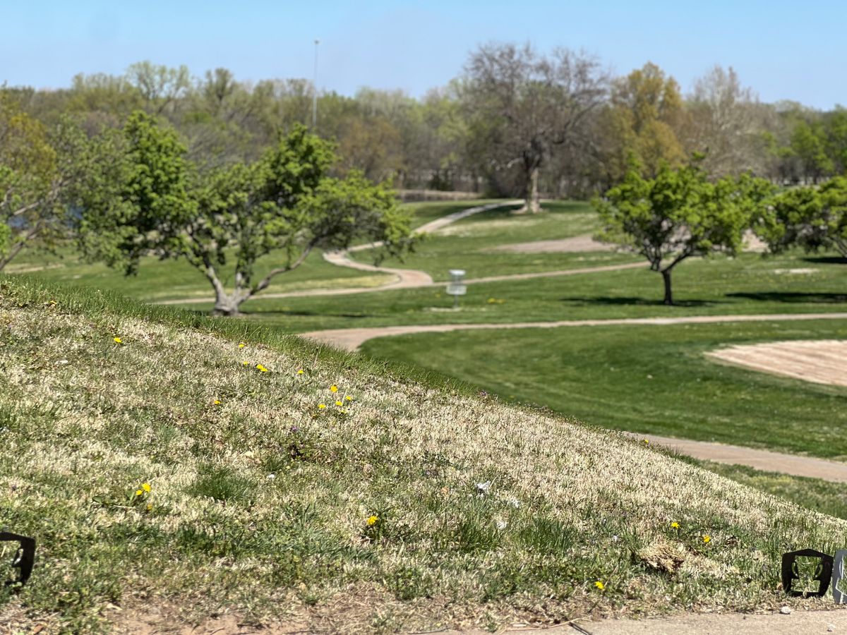 Hole 1 tee