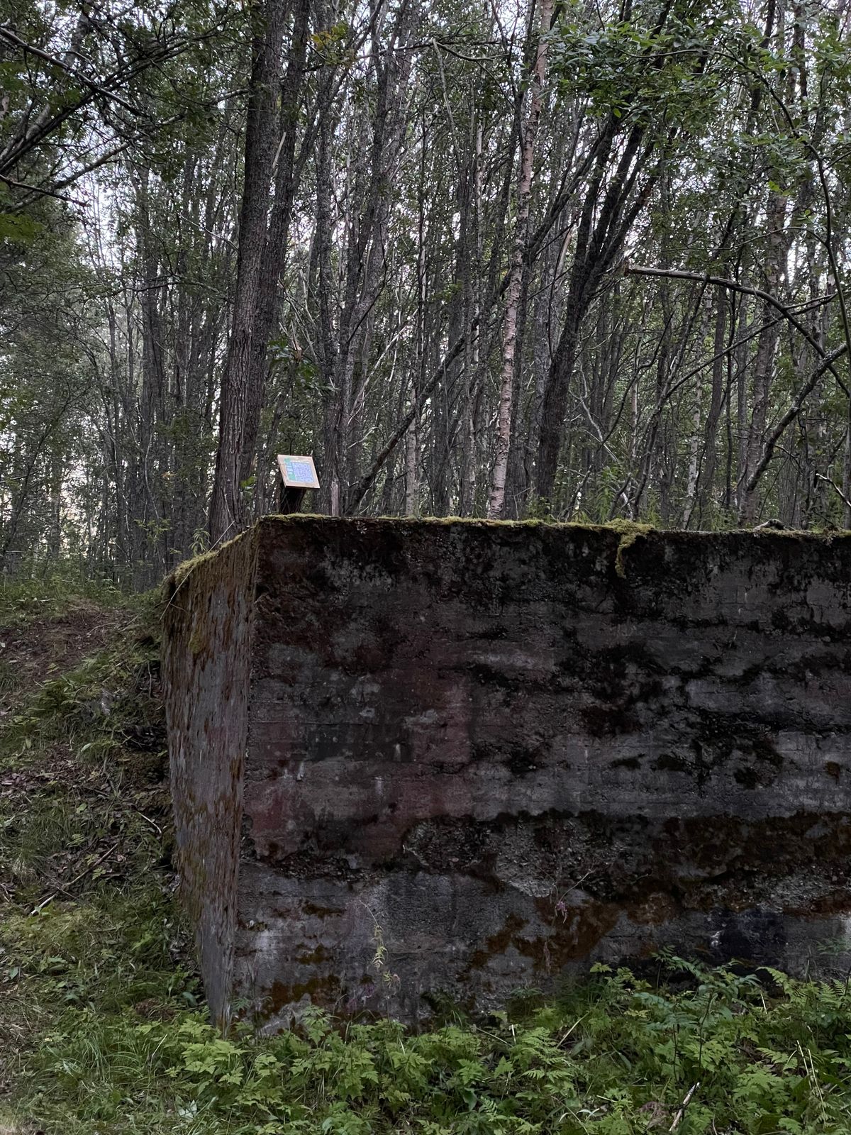 Teepad oppe på muren