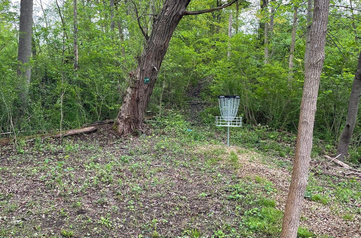Hole 6 Basket