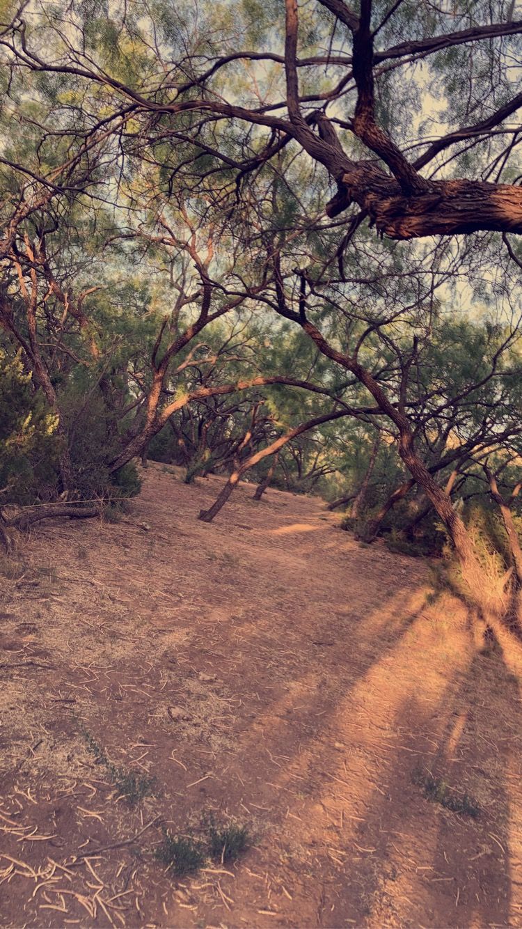 Hole 6 fairway view