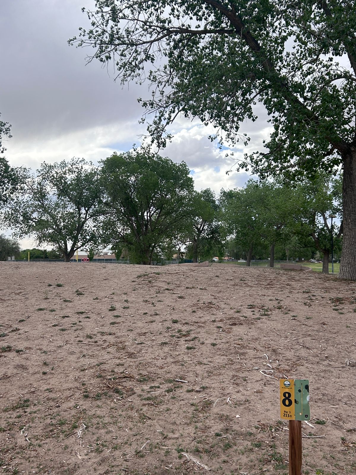 Hole 8 from tee area