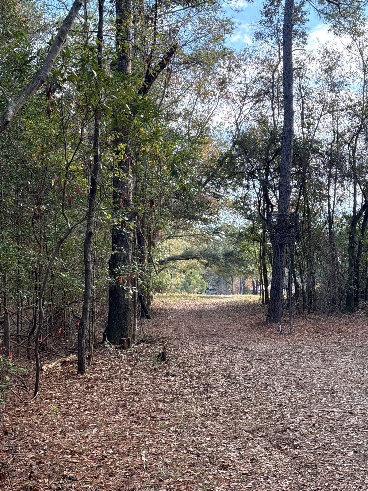 Hole 14 Fairway