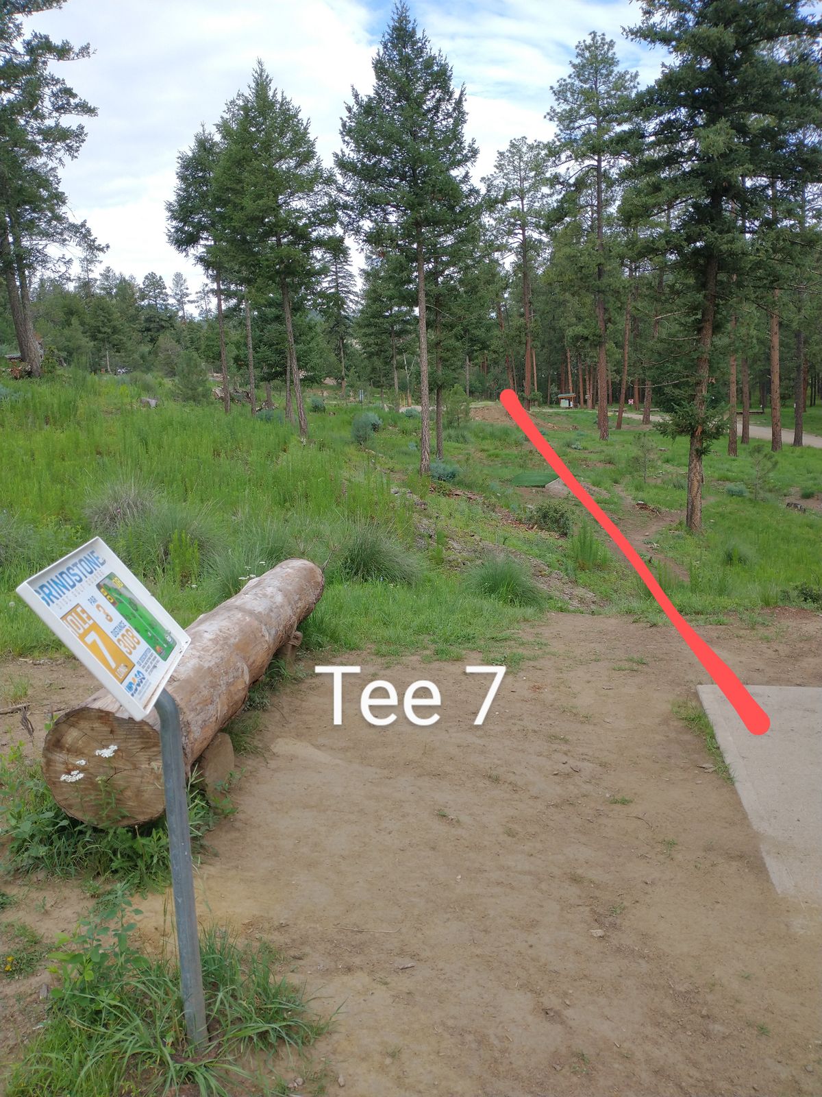 Tee 7, basket over the mound of dirt.