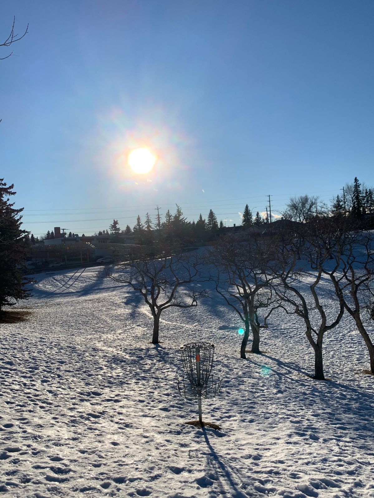 Canadian disc golf ☀️❄️❤️🇨🇦