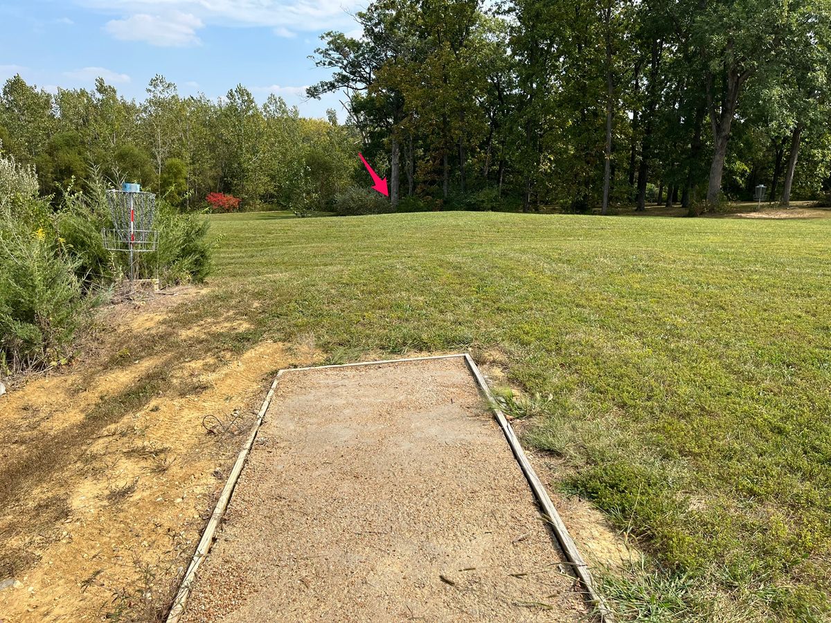 Hole 7 tee