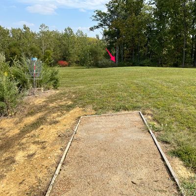 Hole 7 tee