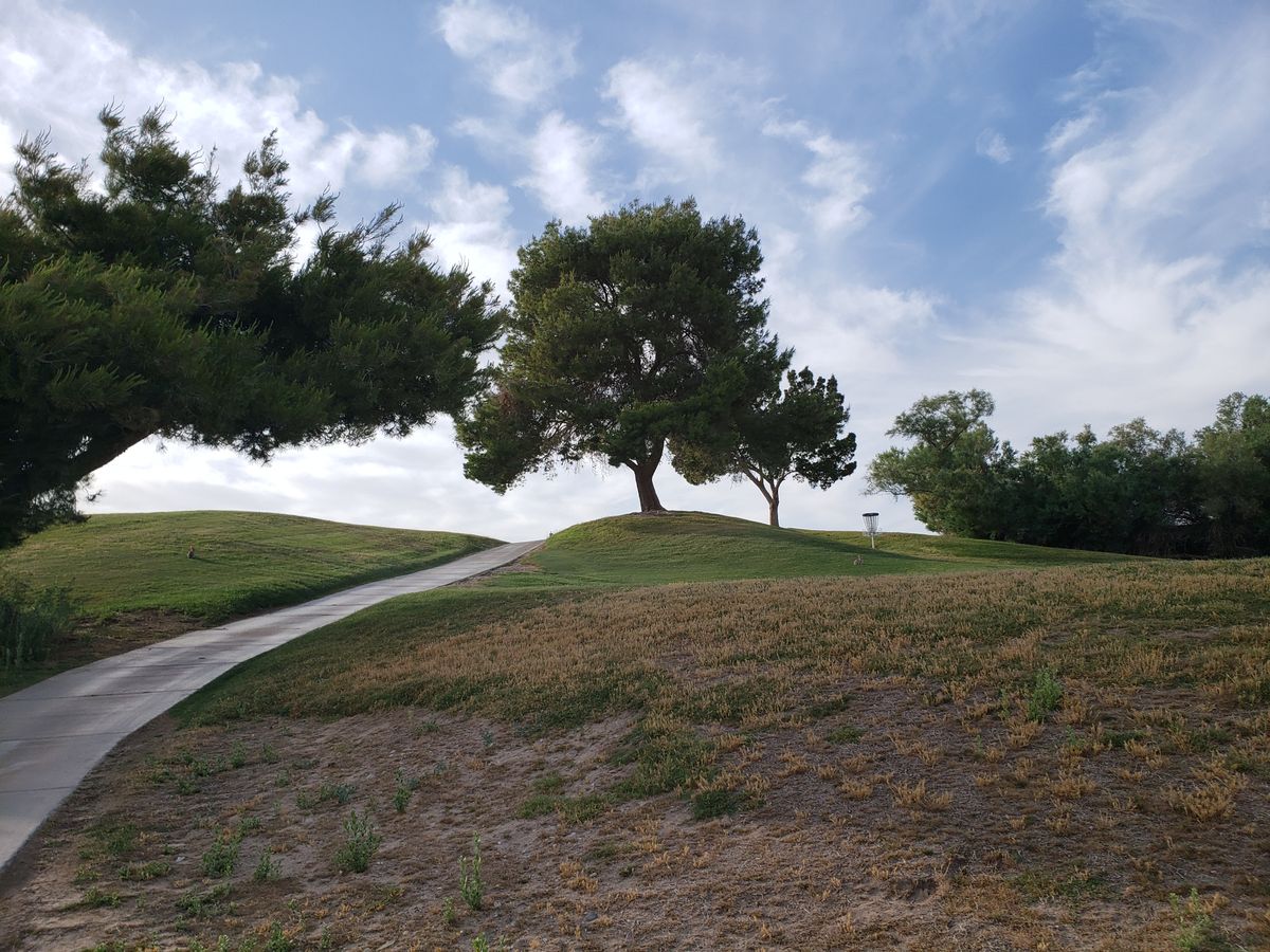 Looking at basket 12... long par 4.