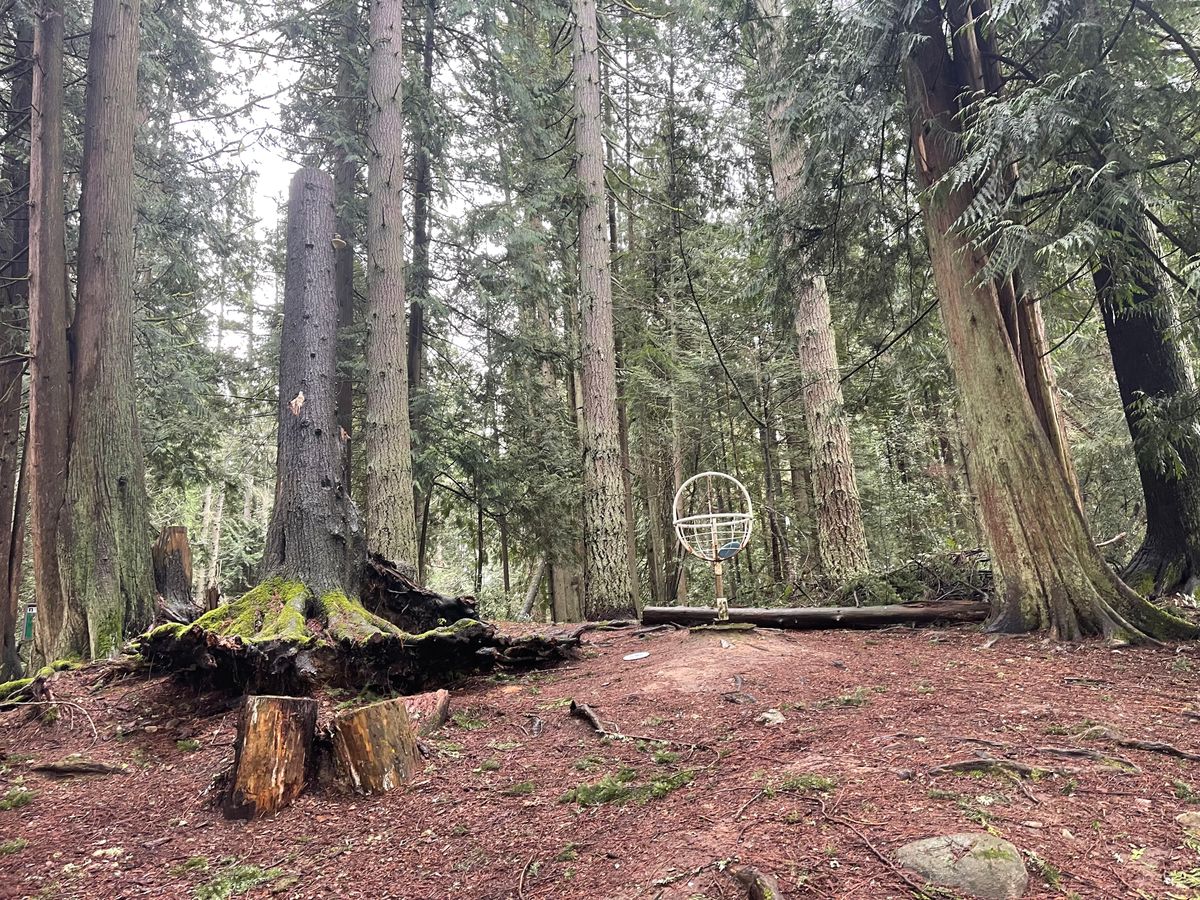 Basket hole 1
