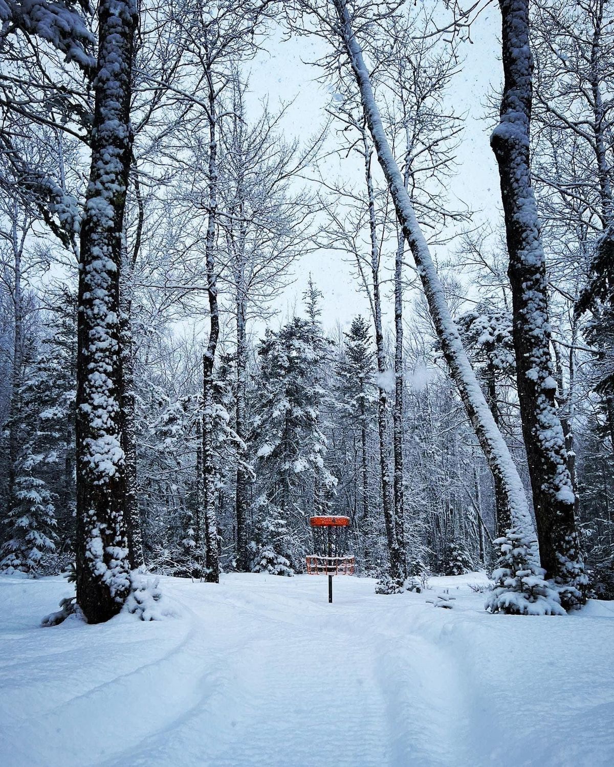 Winter wonderland