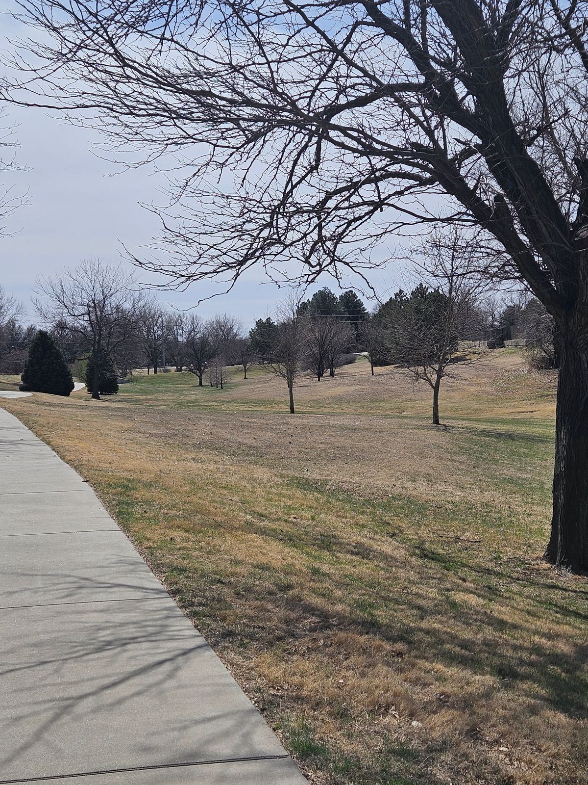 #10 fairway