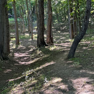 Hole 1 from Long Tee