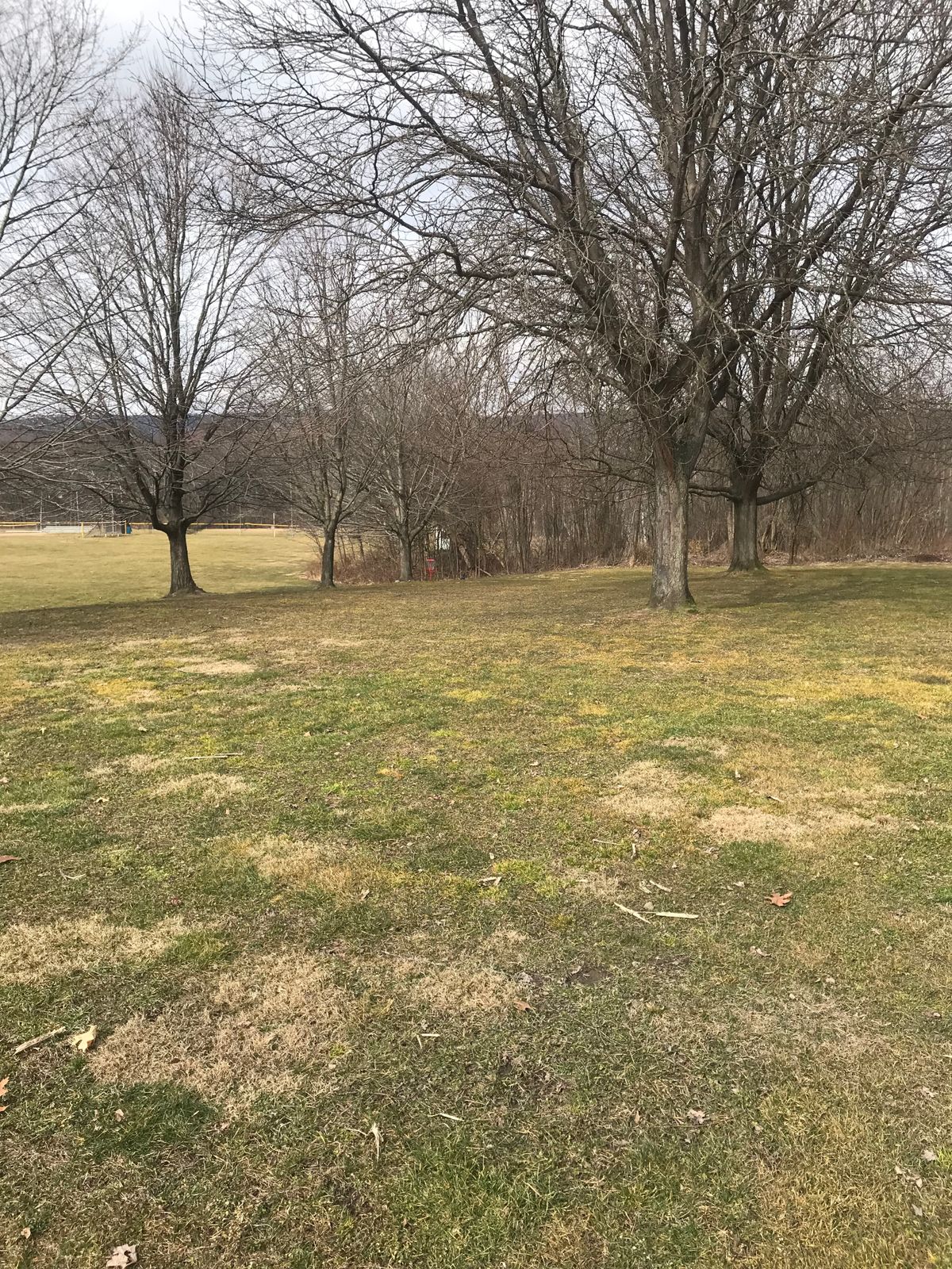 Hole 10 in the works. 200 feet 
-3 foot elevation drop