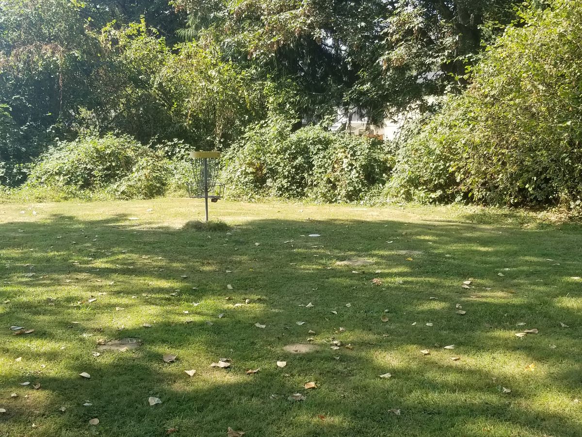 5th hole basket