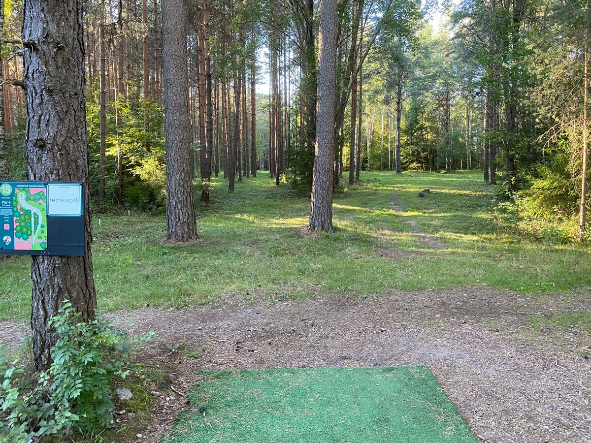 Hole 15, ”The shortcut”. If you’re feeling frisky, try the shortcut on the left.
