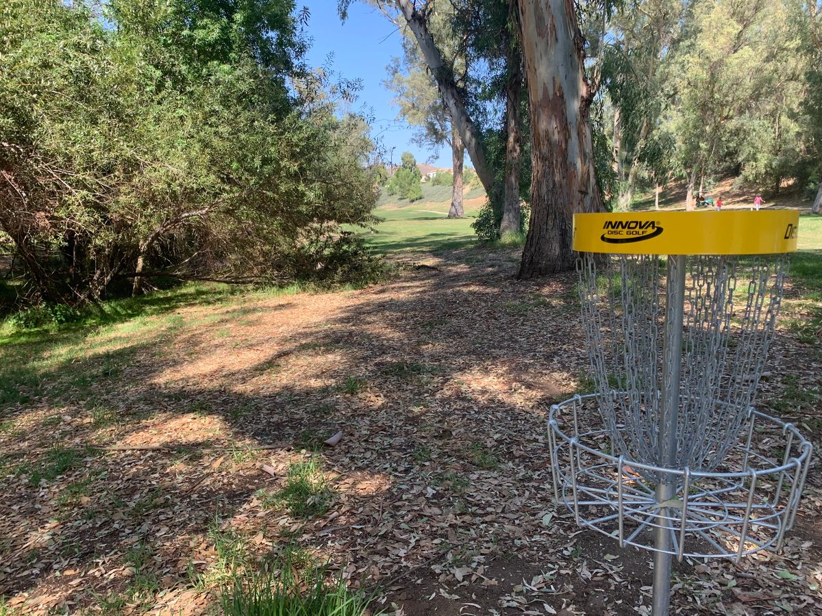 Alpha Hole 12 Basket
