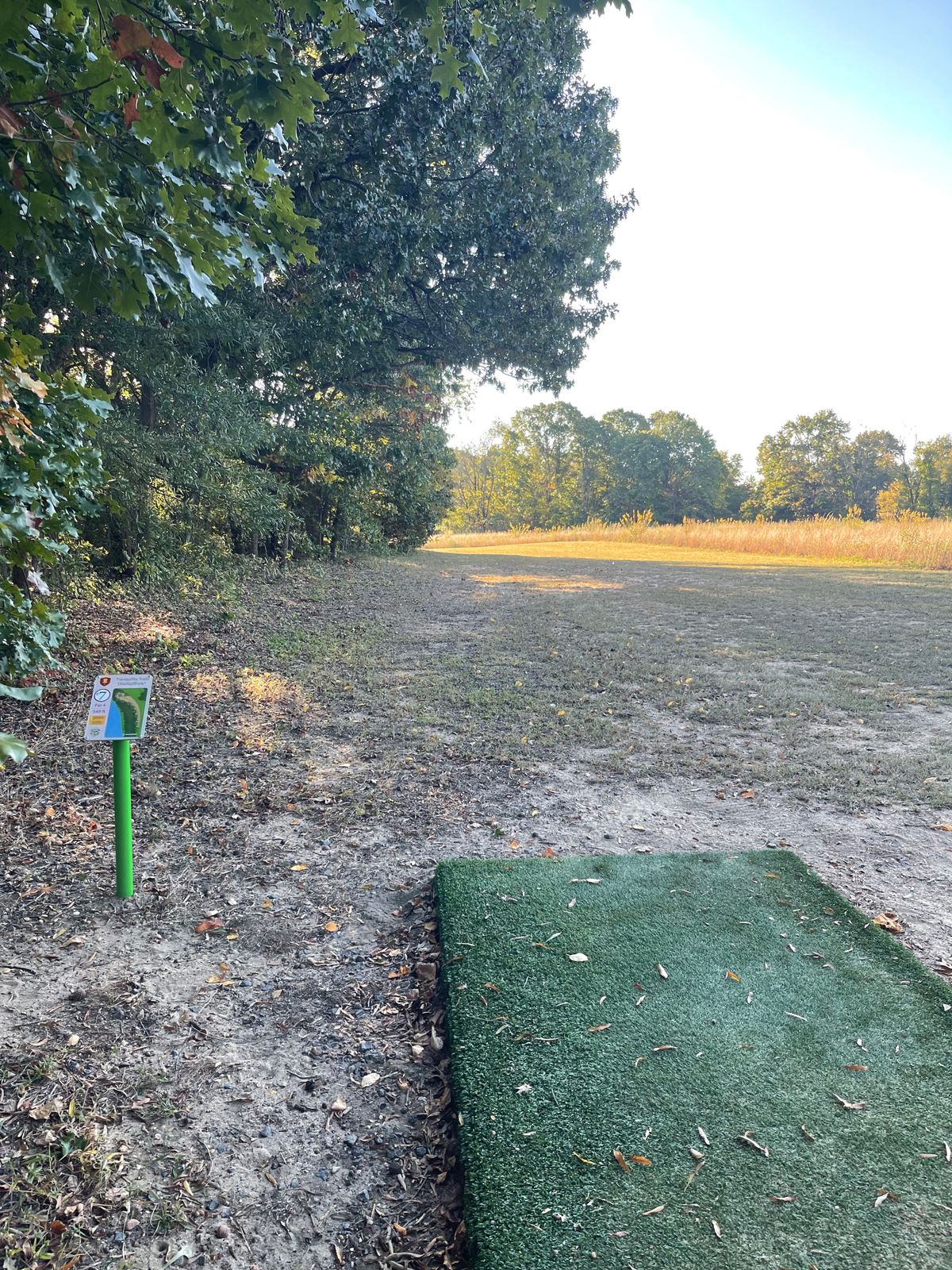 Hole 7 short