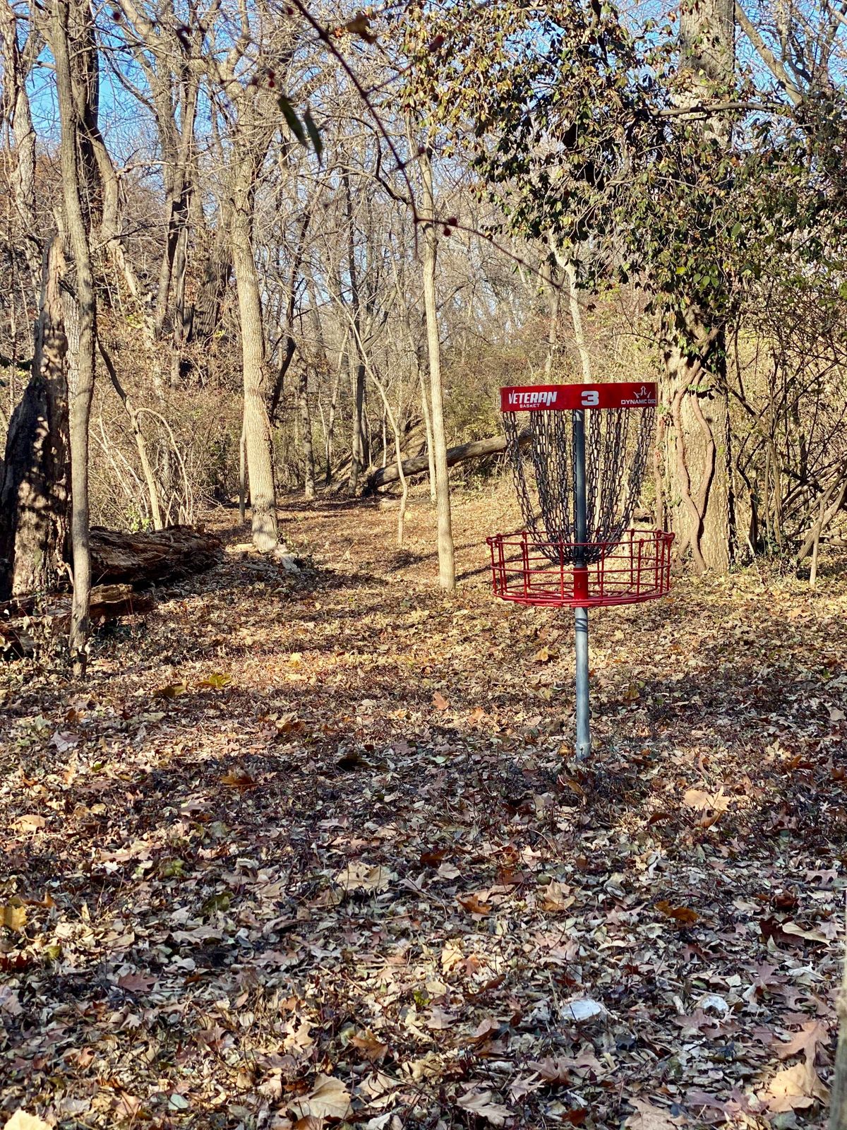 Hole 3 Basket to Tee