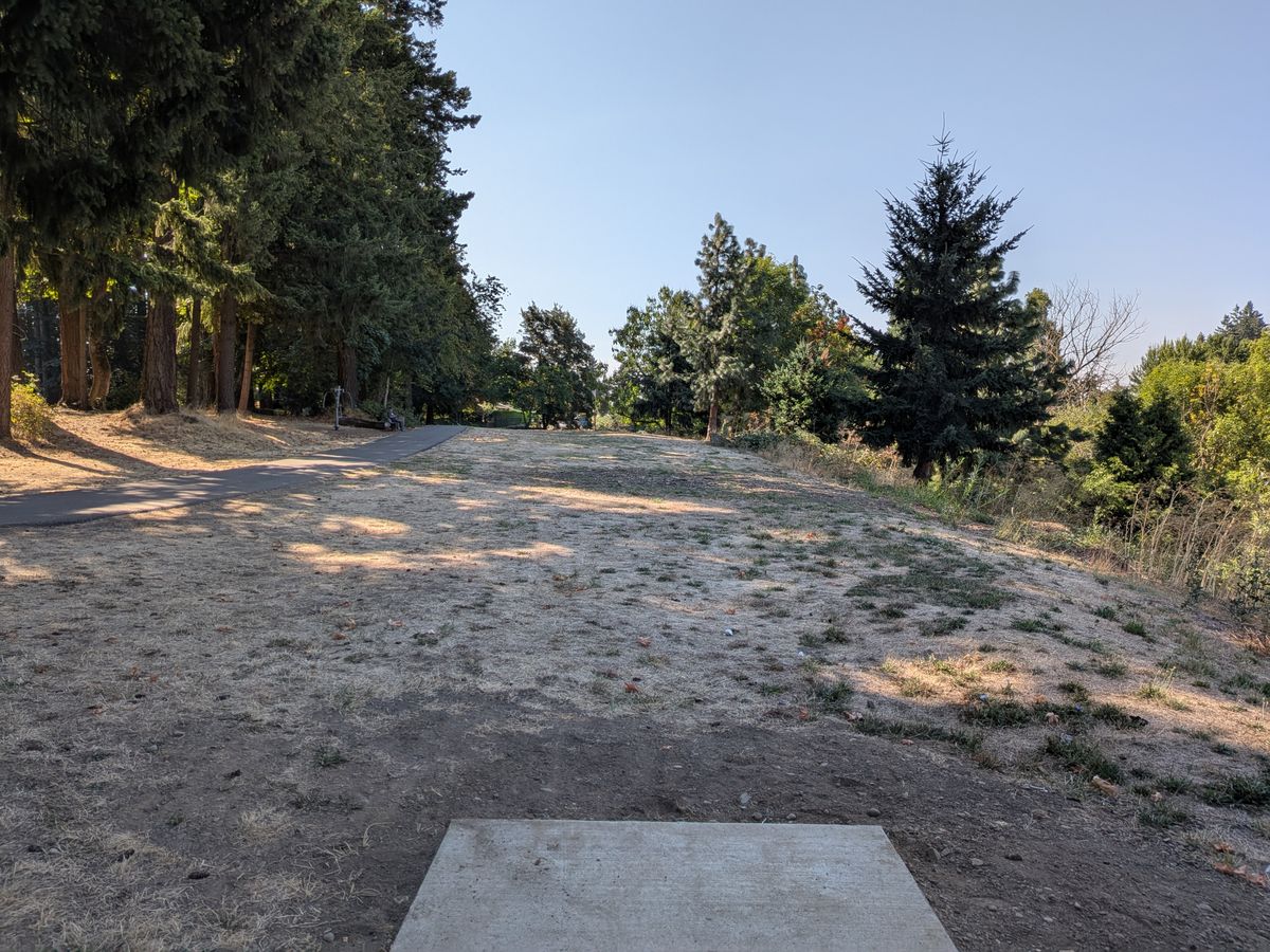Hole 4