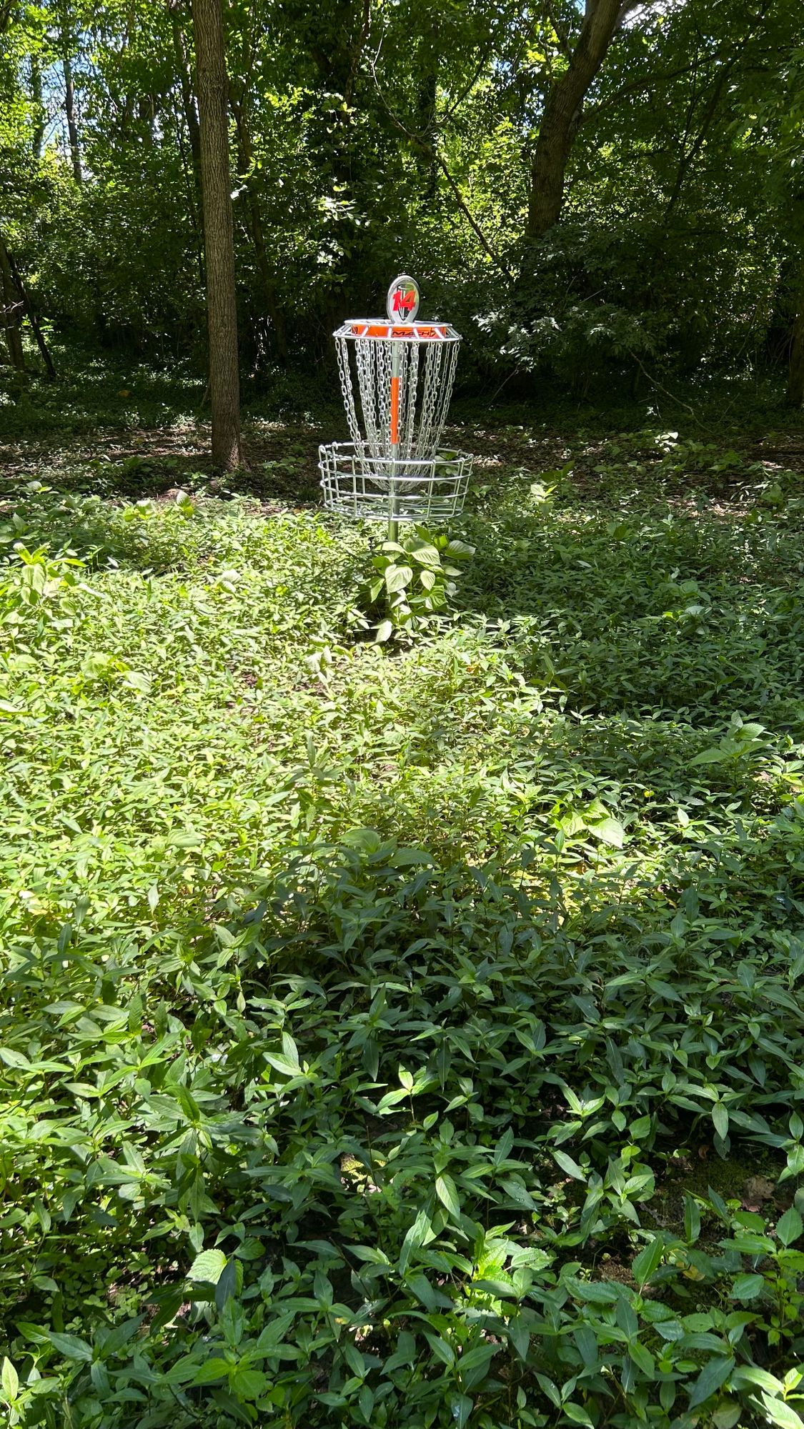 Just a sample of how bad the back 9 is. Had to search for my disc in C1