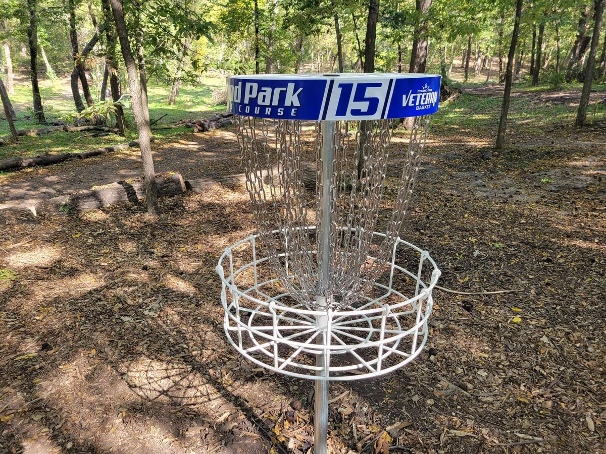 Pro layout basket Hole 15