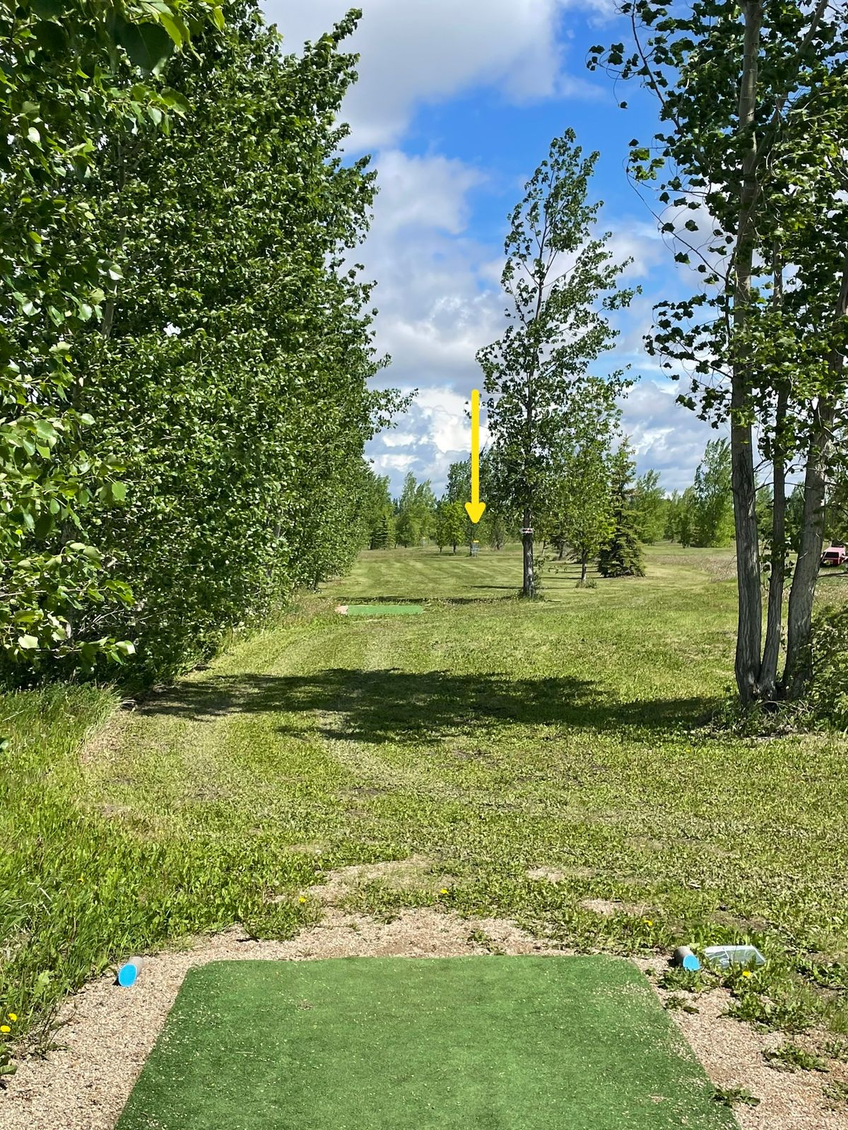 Mando left of marked tree