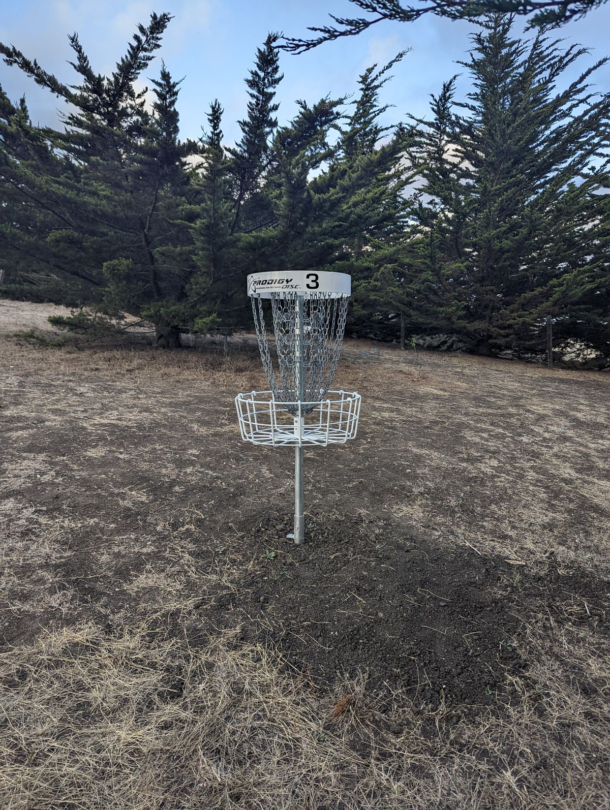 Hole 3 basket