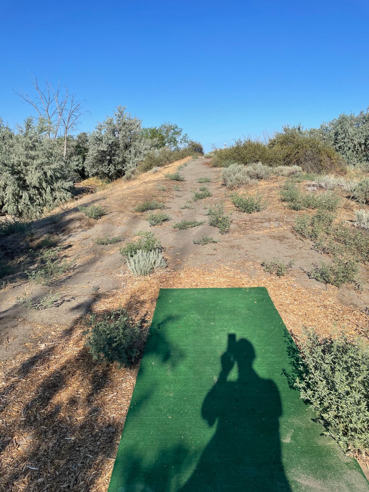Hole 3