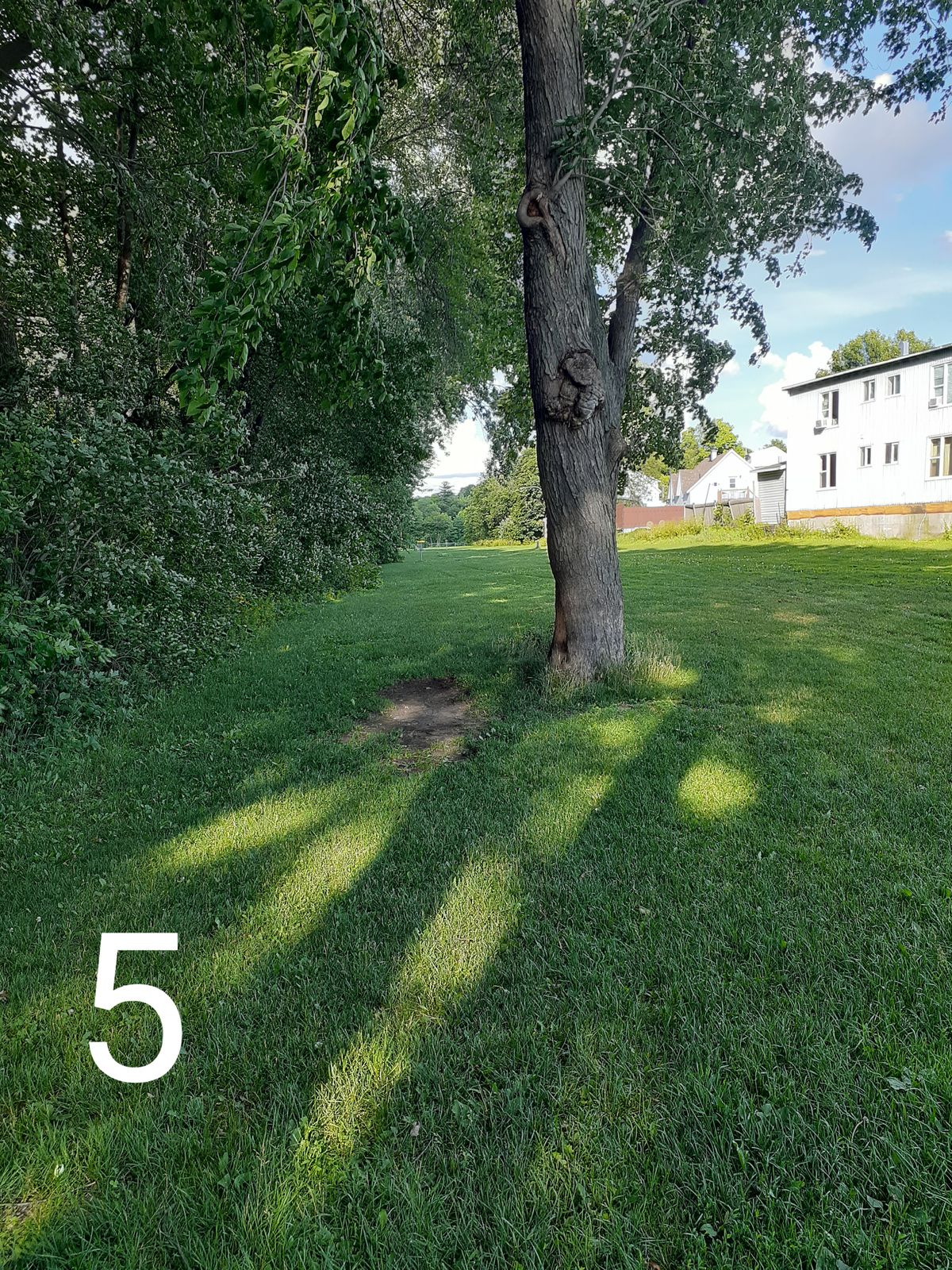 Start 5
