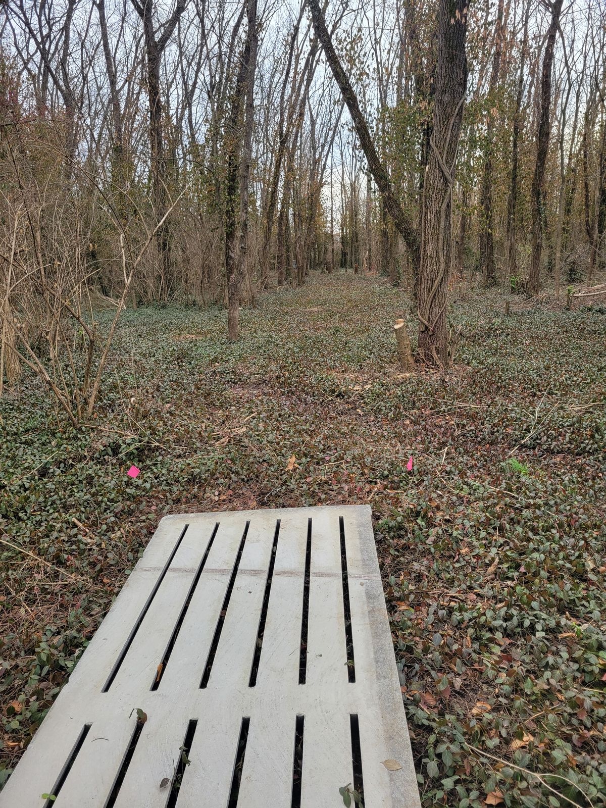 Hole 6