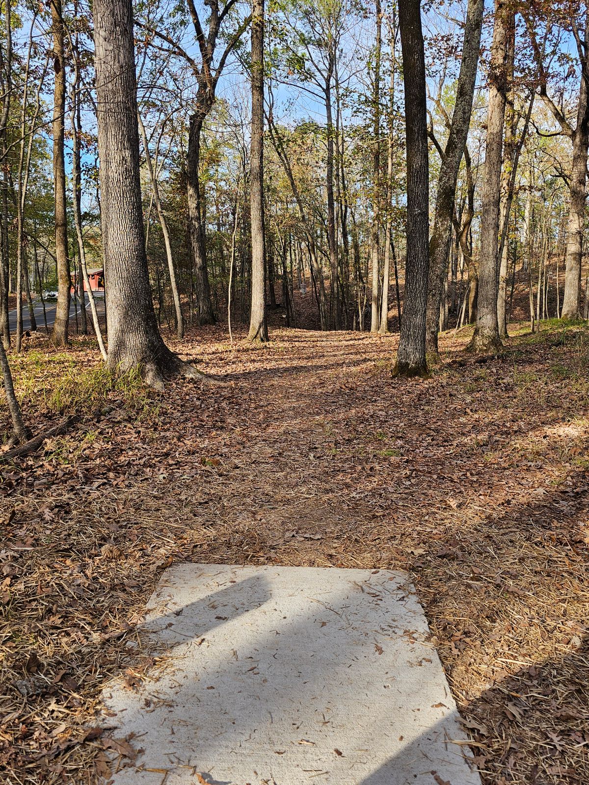 Hole 11