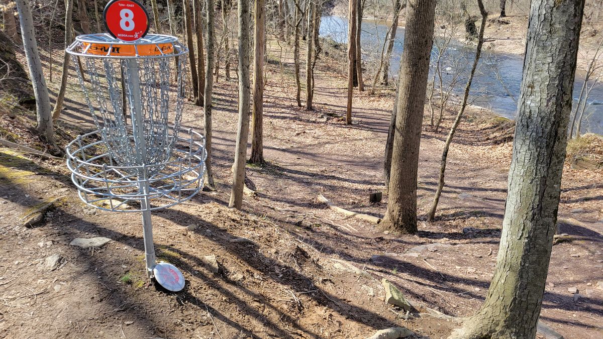 Short Basket on 8.  Remaining hole after drop down