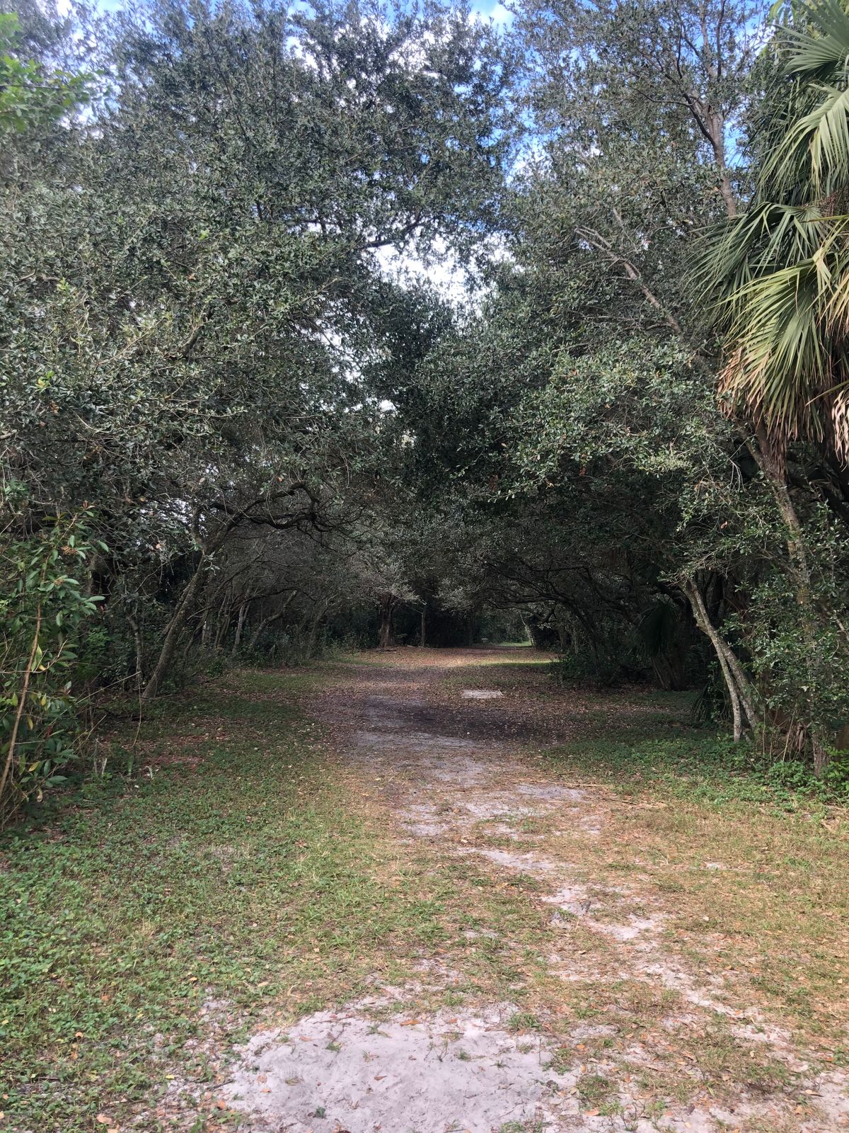 Hole 12
