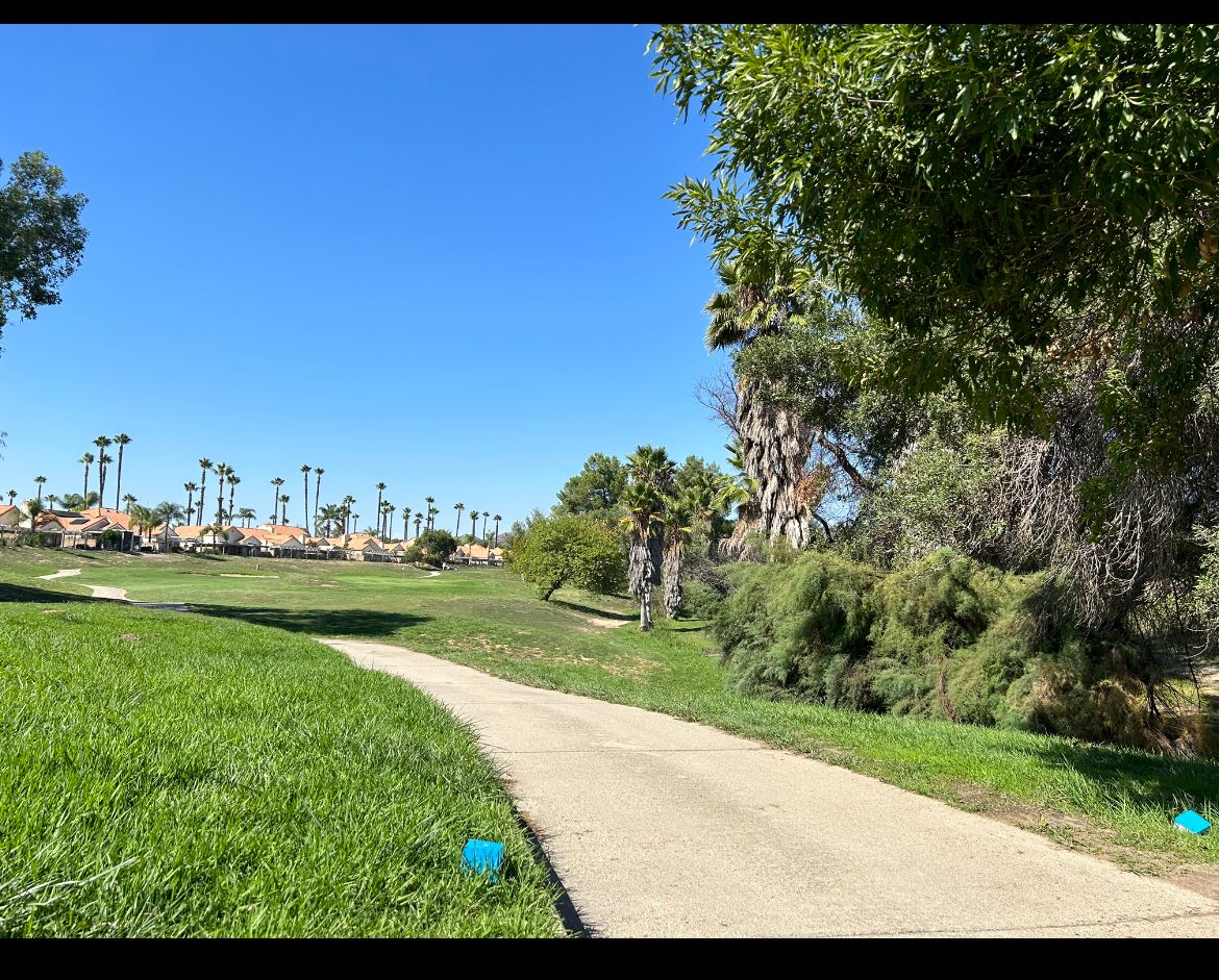 Hole 3 -Alpha- 309 ft. Basket is to the right of the water hazard and left of the palm trees.