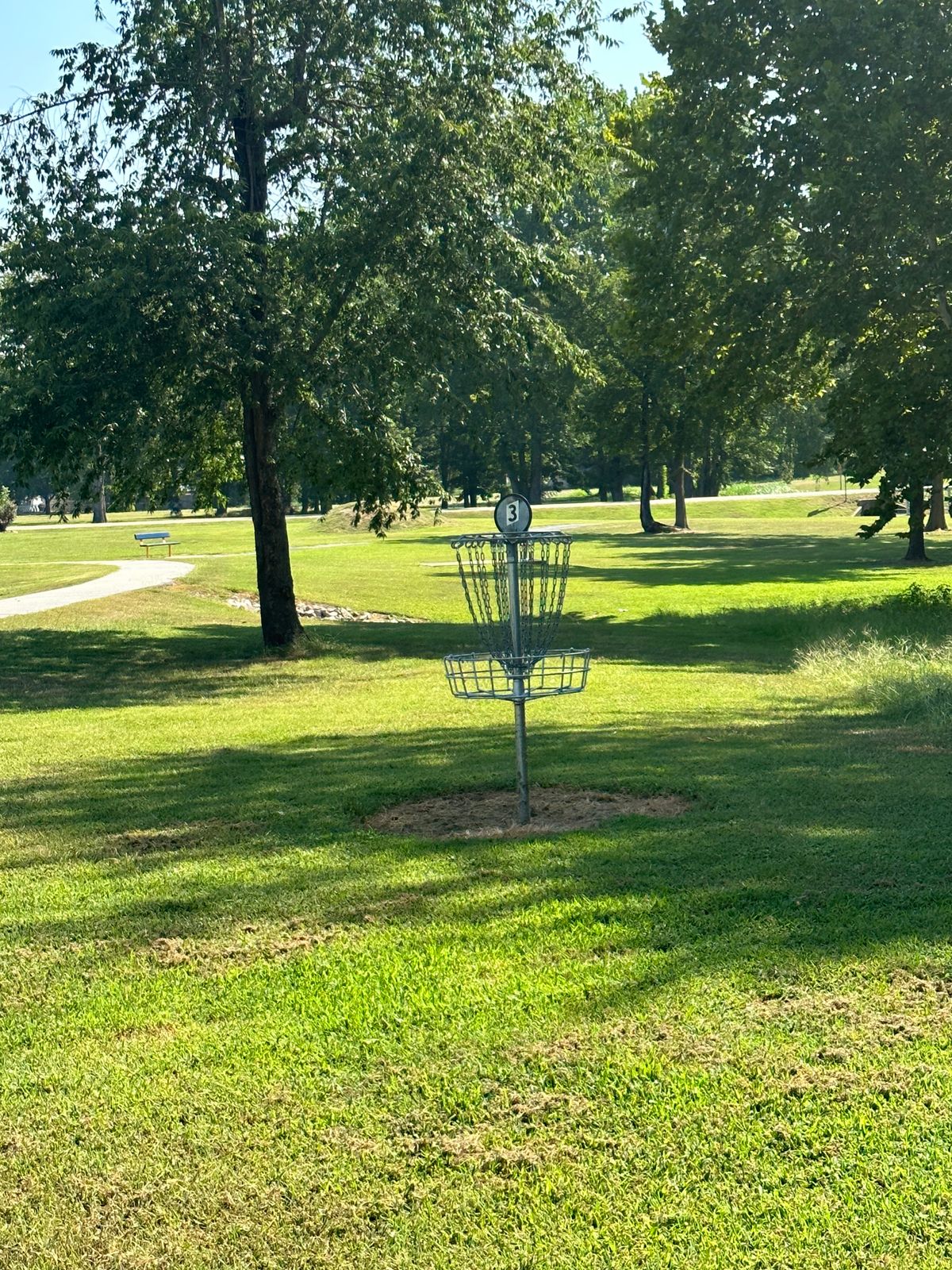 Hole 3 Basket Mulberry Arkansas Disc Golf Course