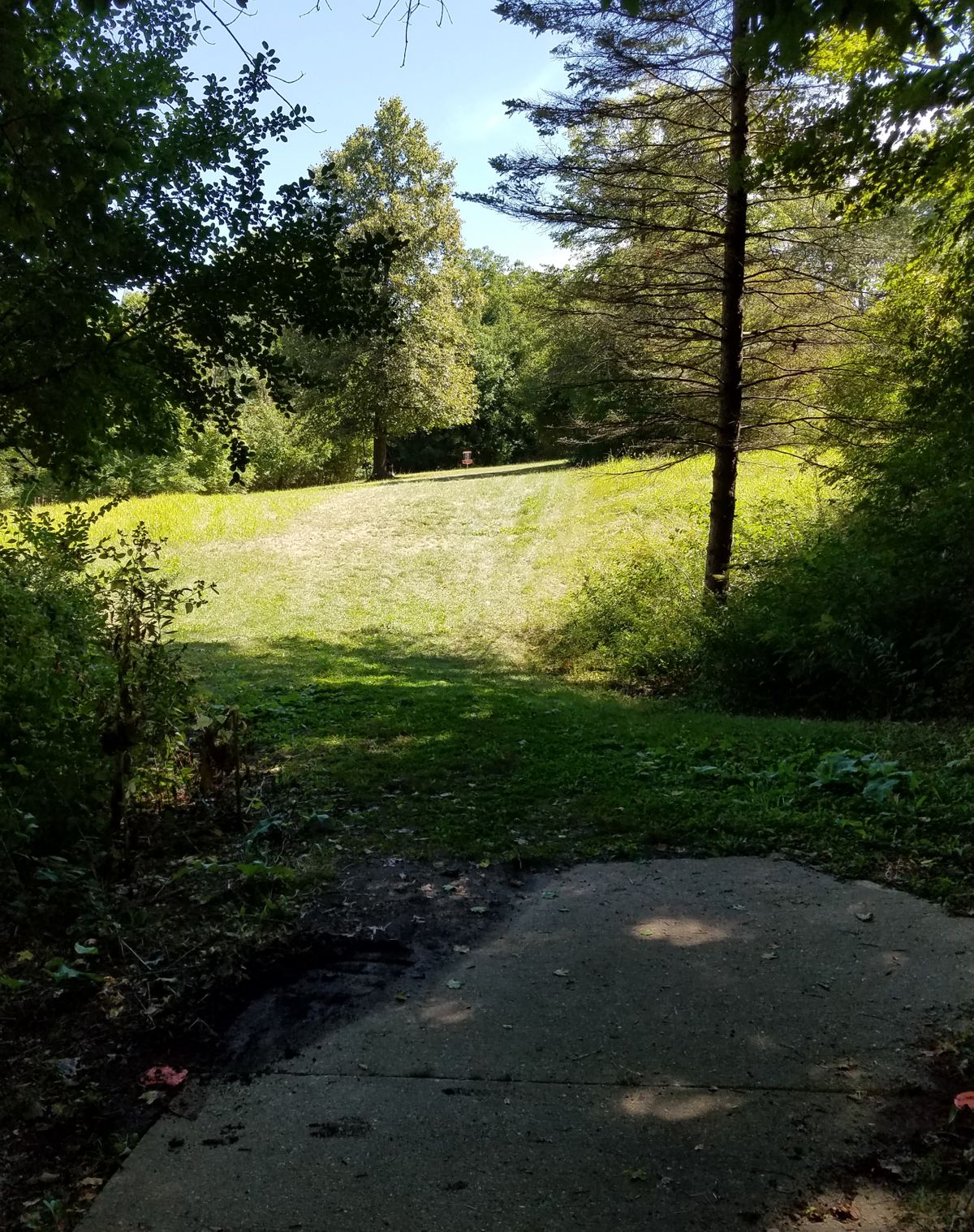 #12.5
