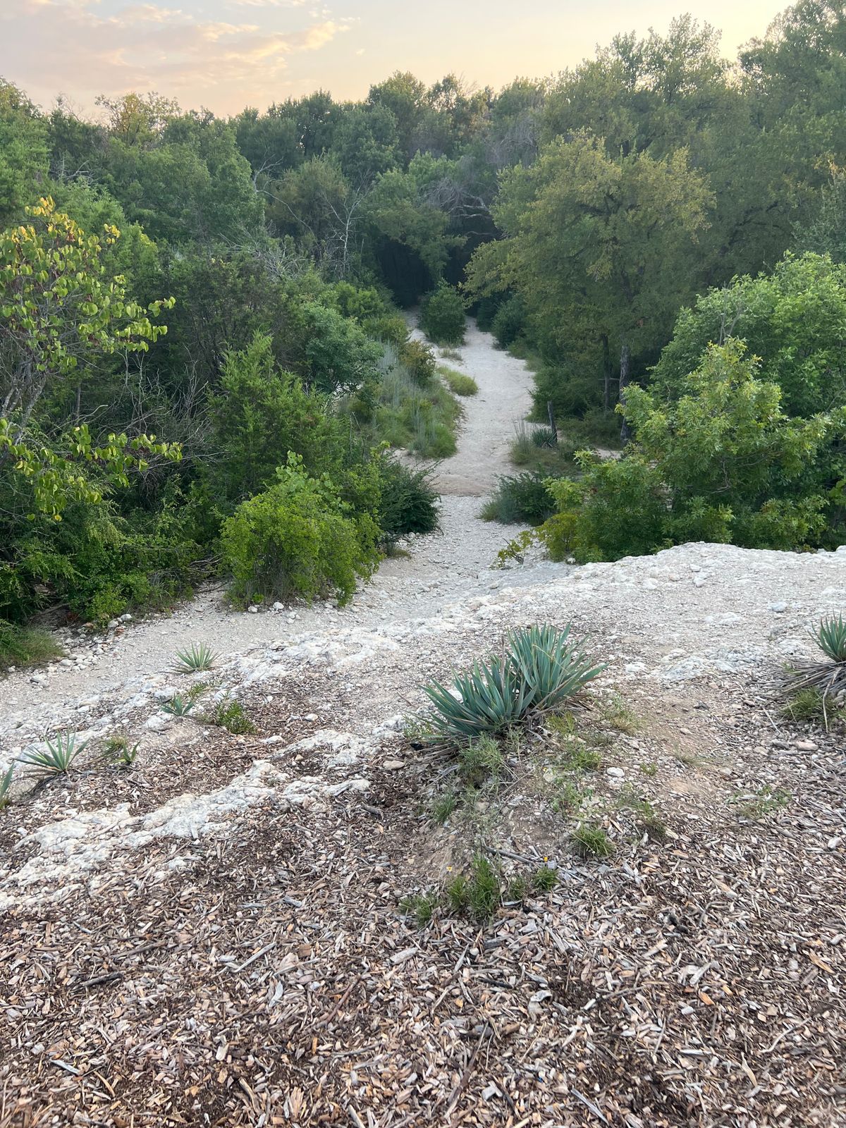 Looking from the 2nd Basket down on the “Fairway”