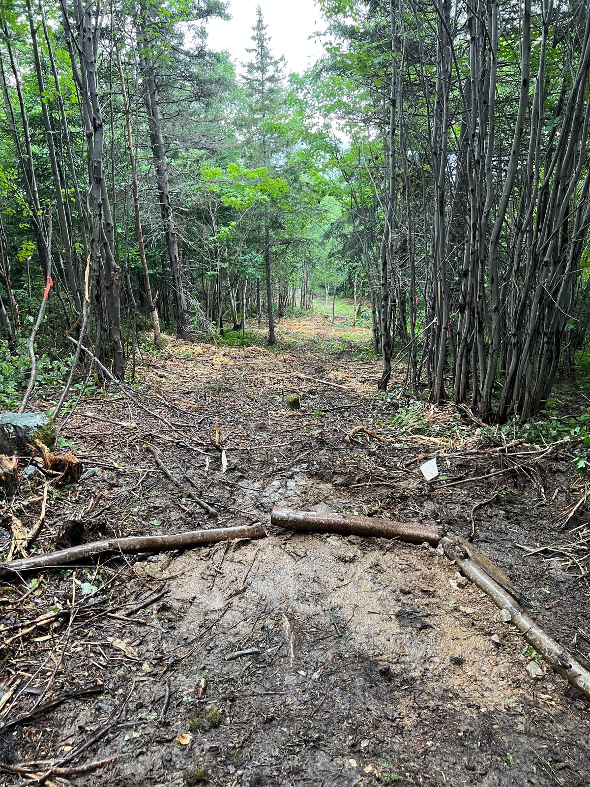 Hole 9 Tee