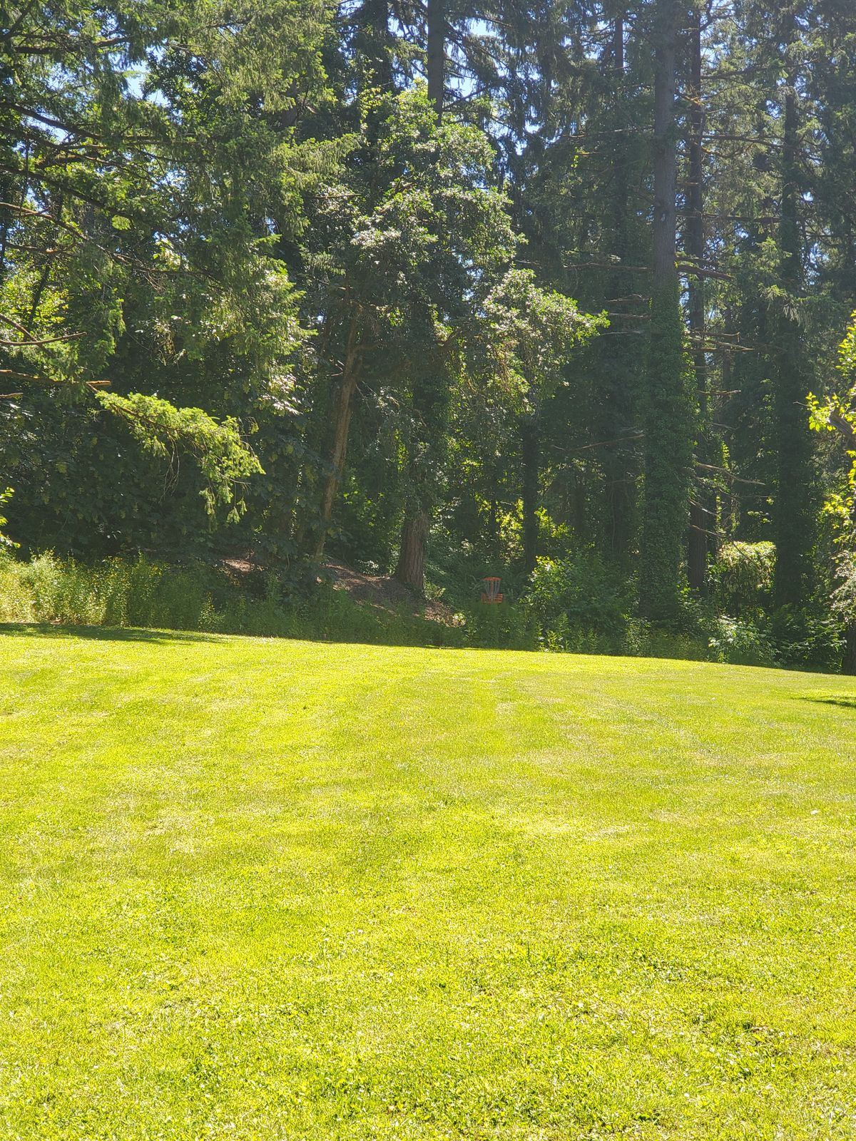 9 tee pad