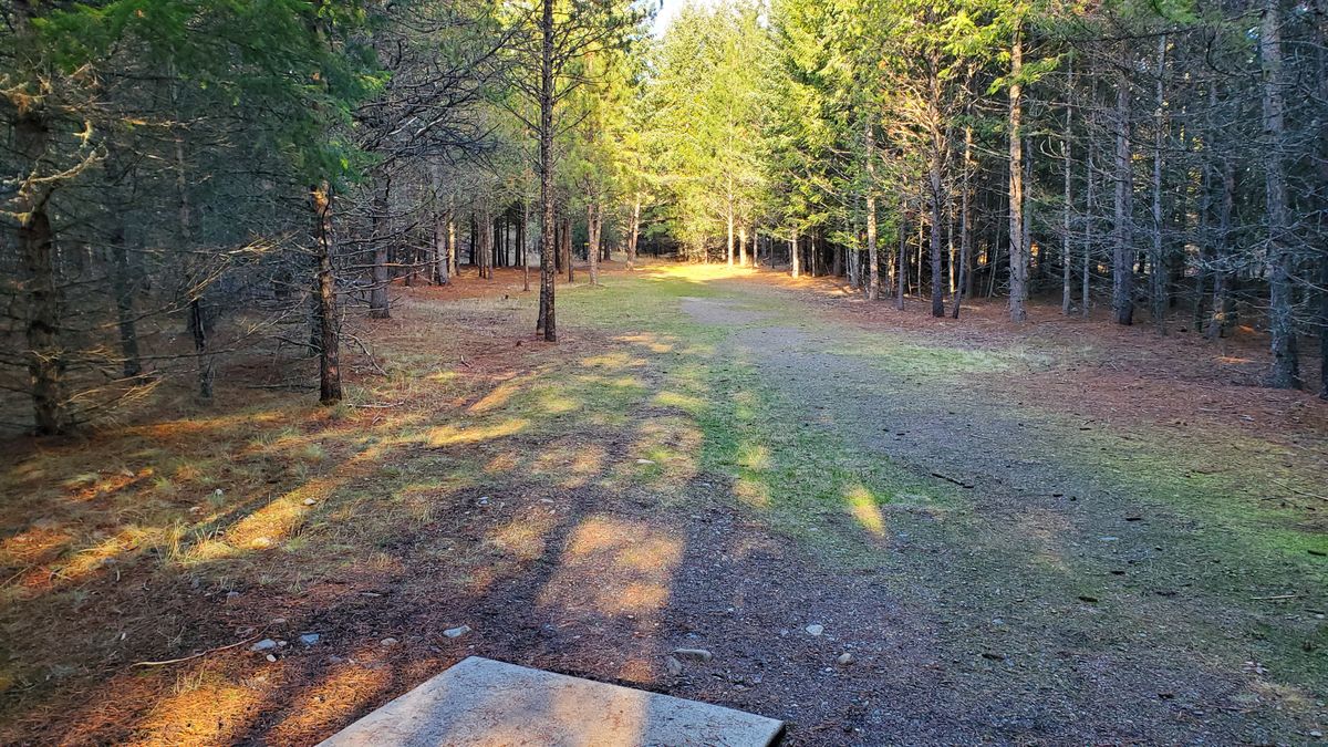 Tee pad hole 2