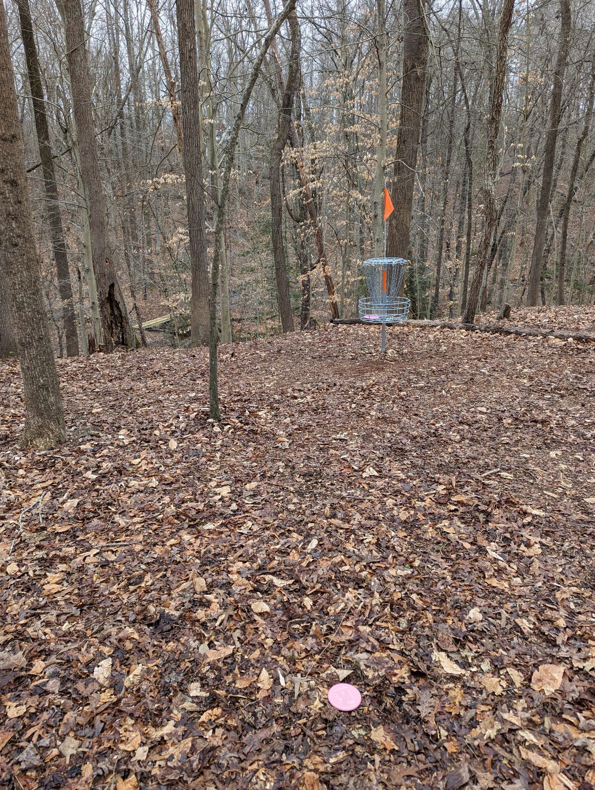 Hole 5