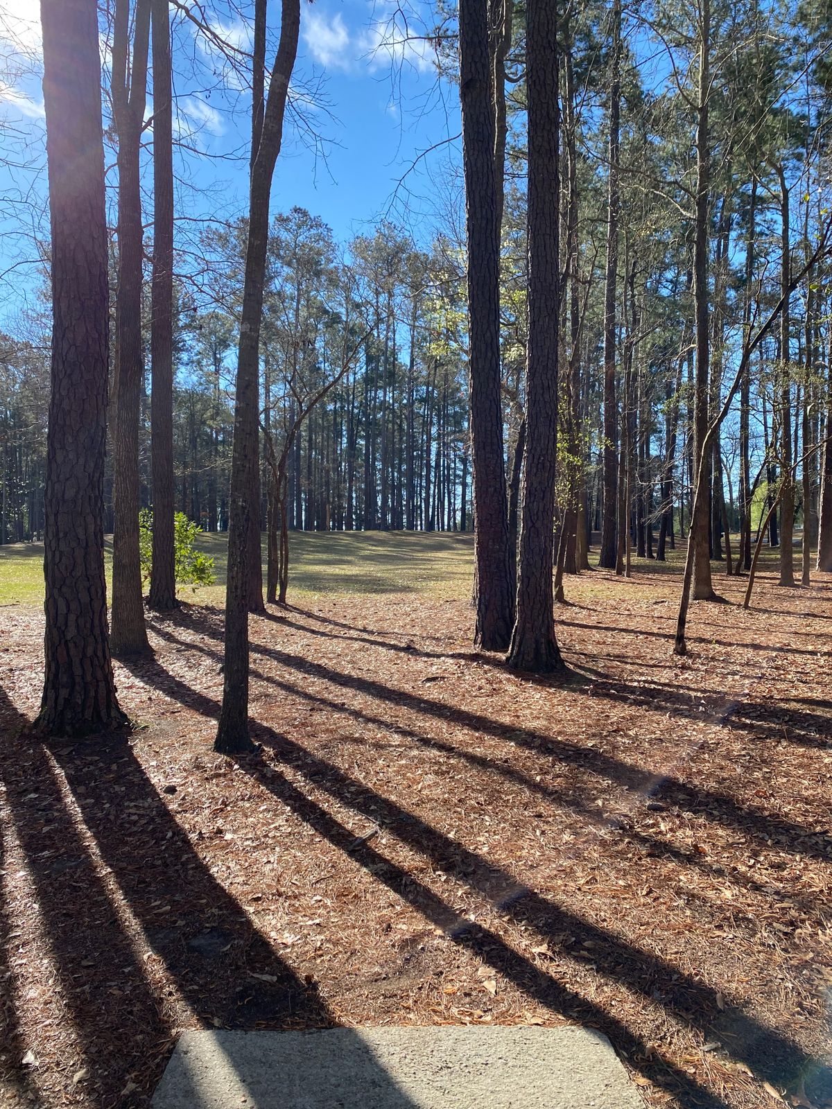 Hole 8 Blue Tee
