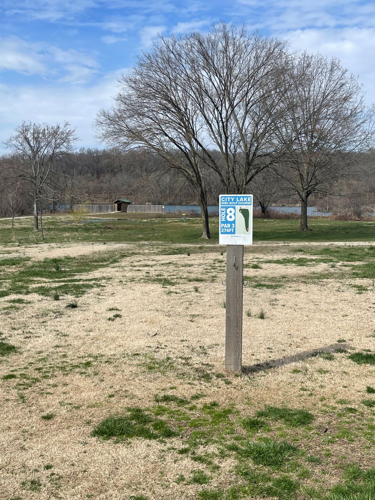 Hole 8 with a guardian tree